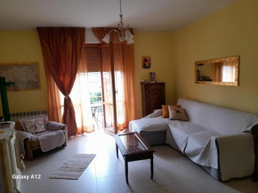 Shanty Home